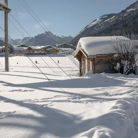 Almdorf Almlust Hotel Flachau