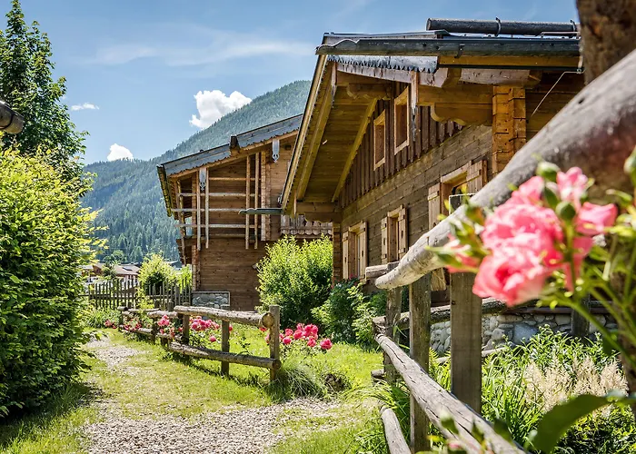 Almlust - Hotel, Apartments, Hotel